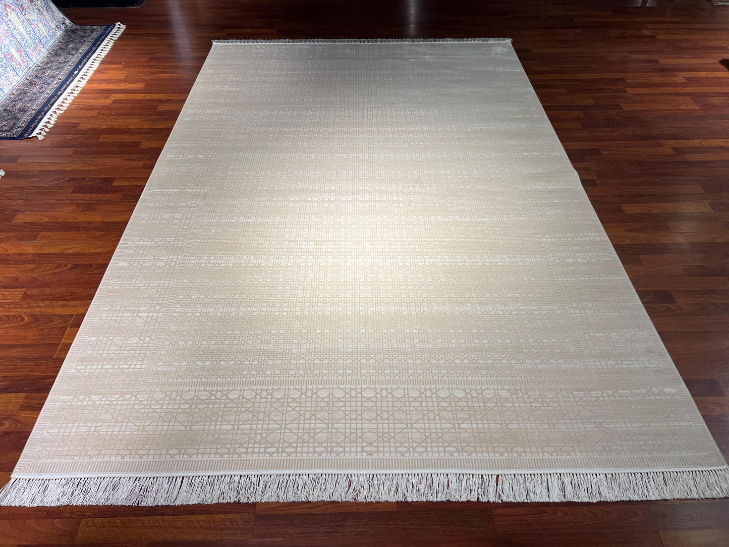 7x10 ft Scandinavian Rug, Beige Modern Rug, Turkish Area Rug, Minimalist Living Room Rug, Large Rug