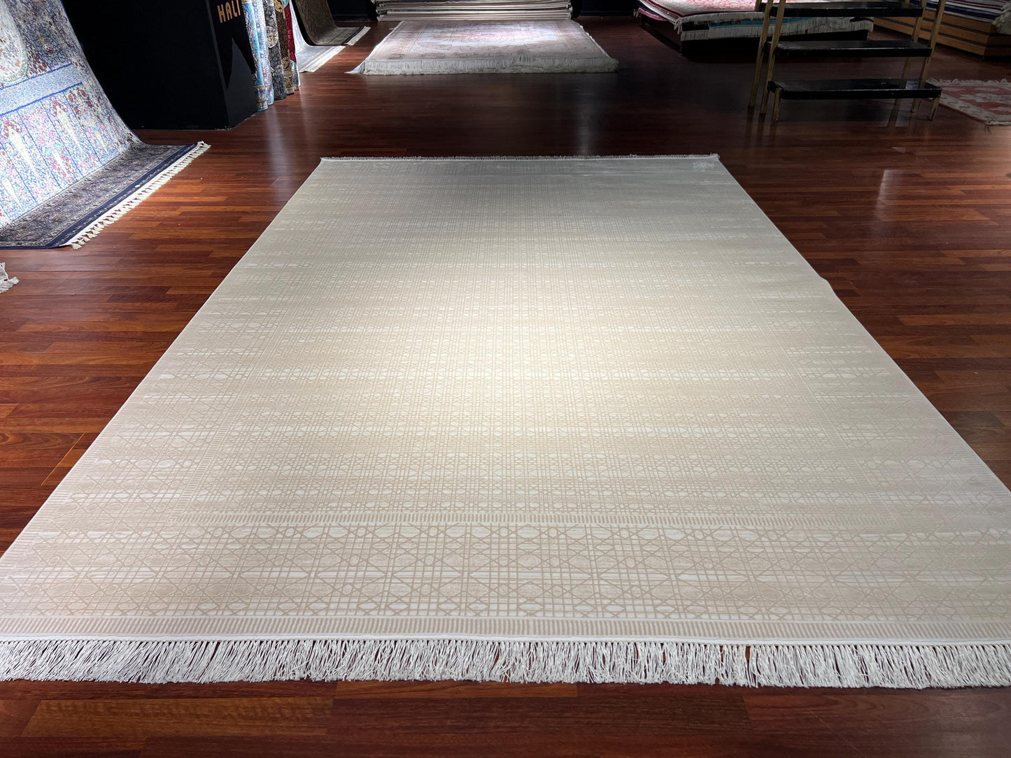 7x10 ft Scandinavian Rug, Beige Modern Rug, Turkish Area Rug, Minimalist Living Room Rug, Large Rug